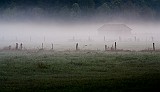 Walsrode-Nebel-Landschaft